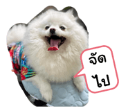 701915020