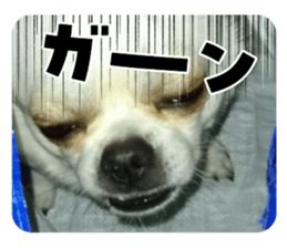701916245