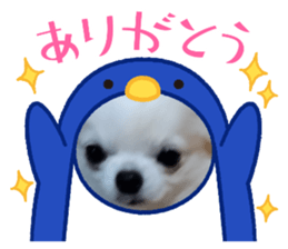 701916262