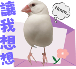 701918207