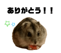 701919196