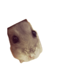 701919200