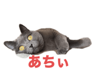 701920721