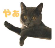 701920722