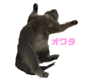 701920724