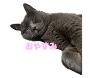 701920726