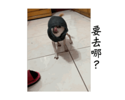701923156