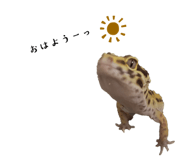 701928017