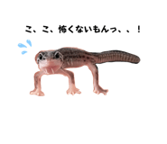 701928025