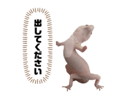 701928028