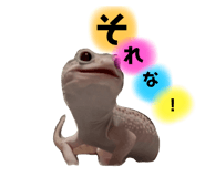 701928031