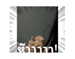 701928705
