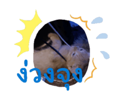 701928706