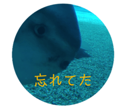 701967232