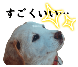 701987625