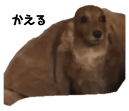 701993516
