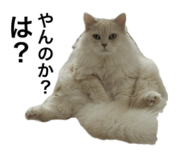 702017276