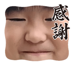 702030184
