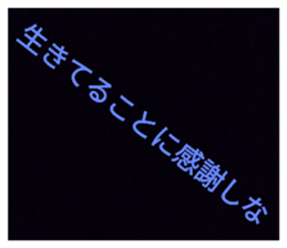 702037331