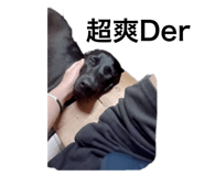 702107170