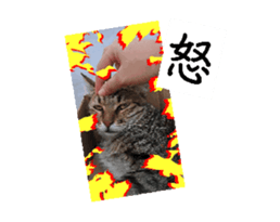 702108797