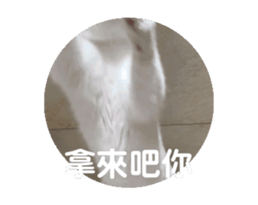 702123365