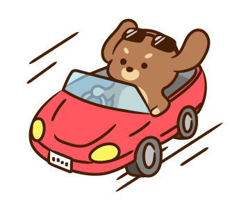 Hurrybow, Busywow, Modernbow รูปที่ 16