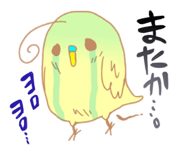 7025506