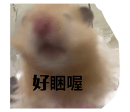 702594665
