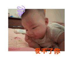 702646386