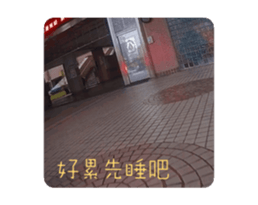 702709885