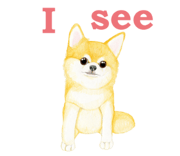 7028134