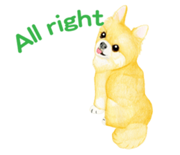 7028149