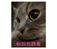 702815566