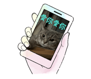 702815584