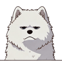 702823986