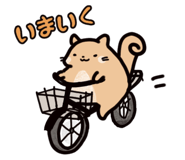 702838325