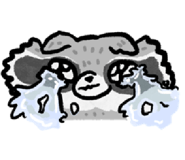 702903636