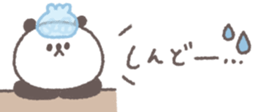 702905276