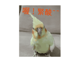 702920560