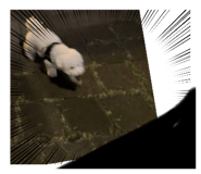 702954332