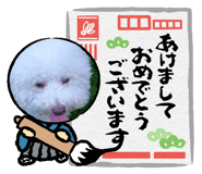 702954336