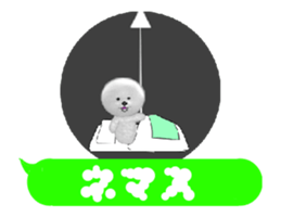 70297011