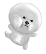 70297012
