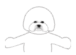 70297016