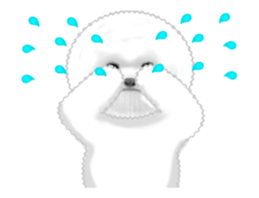 70297021