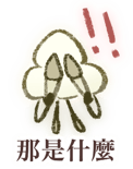 703016814