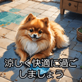 703180260