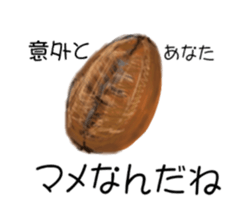7032698