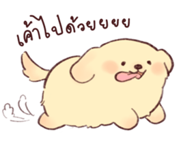 ลายที่ 3